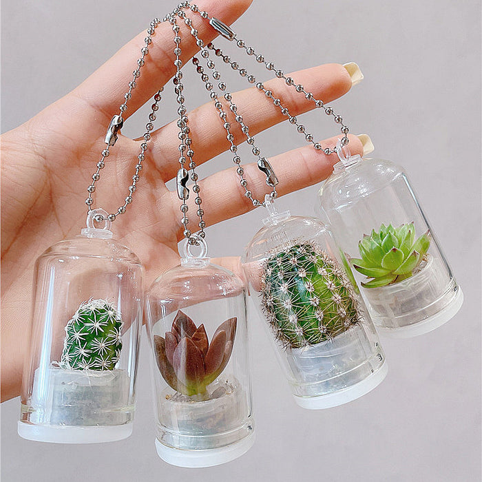 Wholesale Keychain Glass Cactus Succulent Bottles JDC-KC-YCYK013