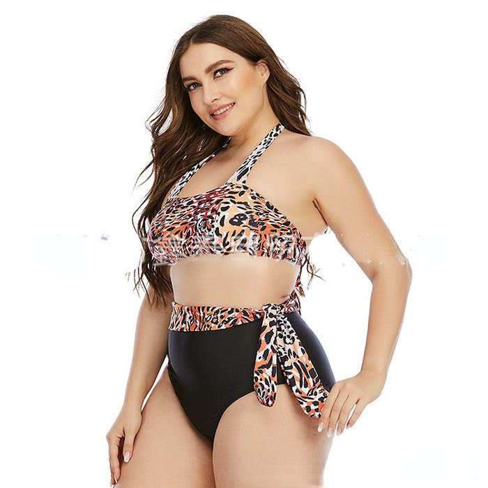 Wholesale plus size swimsuit split plus fertilizer plus swimsuit JDC-SW-XTai002