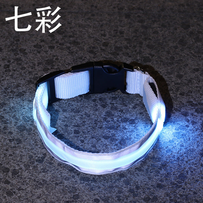 Wholesale Nylon Webbing LED Light Up Dog Collar JDC-FT-XuanD003