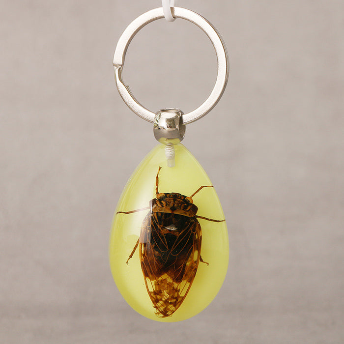 Wholesale Resin Real Insect Specimen Luminous Keychain MOQ≥3 JDC-IS-DongB003