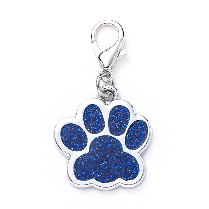 Wholesale Keychains For Backpacks Zinc Alloy Metal Pet Footprint Keychain JDC-KC-XYP001