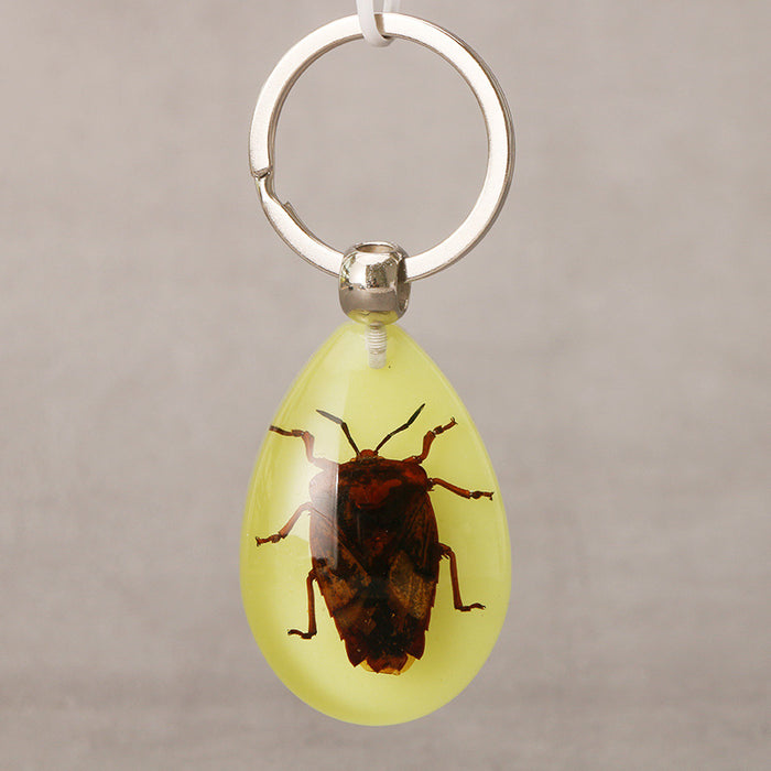 Wholesale Resin Real Insect Specimen Luminous Keychain MOQ≥3 JDC-IS-DongB003