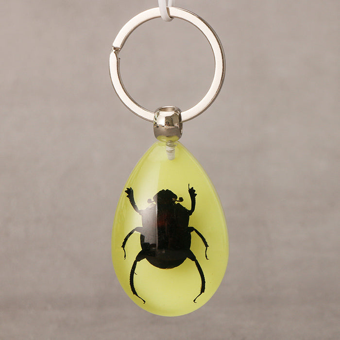 Wholesale Resin Real Insect Specimen Luminous Keychain MOQ≥3 JDC-IS-DongB003