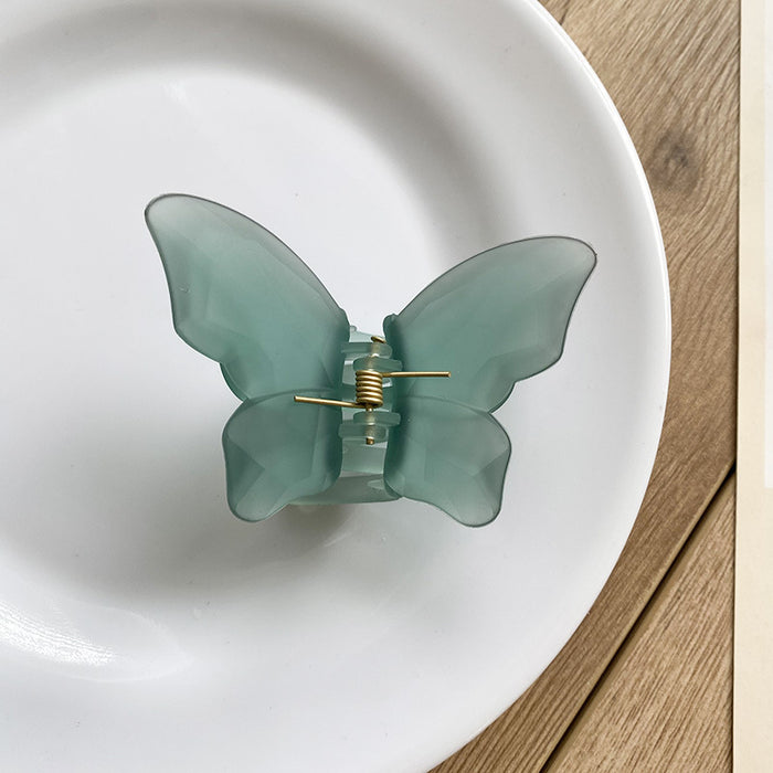 Wholesale Translucent Butterfly Grab Clip Summer Frosted Matte JDC-HC-YuTing003