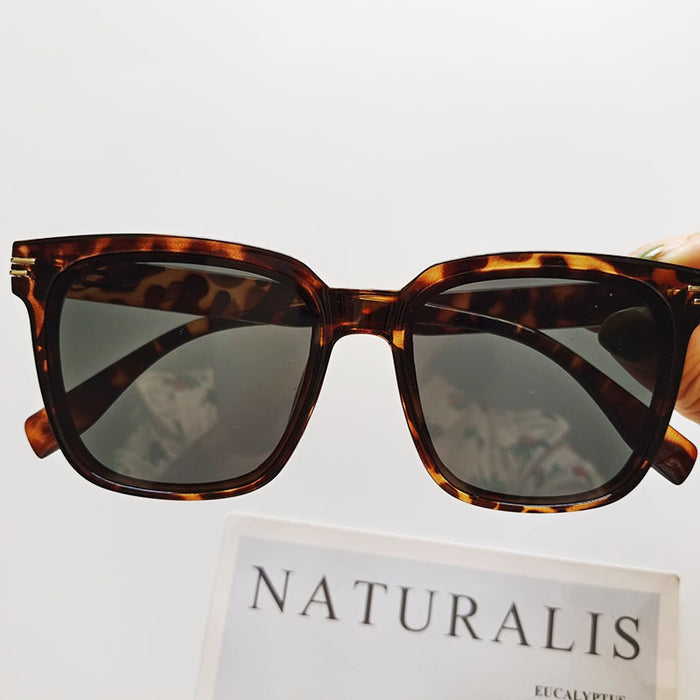 Wholesale sunglasses men resin temple frame MOQ≥2 JDC-SG-BoH003