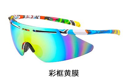 Wholesale Sunglasses PC Lenses PC Frames JDC-SG-XingSY014