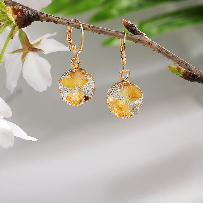 Wholesale Imitation Mineral Resin Alloy Gradient Earrings MOQ≥2 JDC-ES-Zhongn015