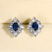 Jewelry WholesaleWholesale Vintage Royal Blue Copper Zircon Flower Stud Earrings MOQ≥2 JDC-ES-Caos017 Earrings 曹适 %variant_option1% %variant_option2% %variant_option3%  Factory Price JoyasDeChina Joyas De China