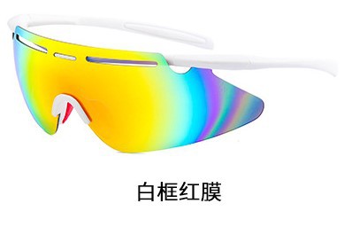 Wholesale Sunglasses PC Lenses PC Frames JDC-SG-XingSY014