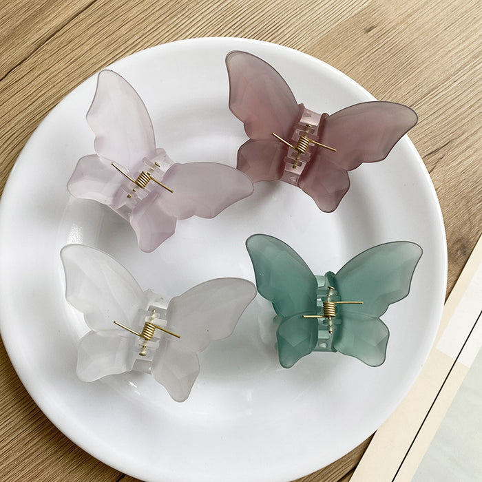 Wholesale Translucent Butterfly Grab Clip Summer Frosted Matte JDC-HC-YuTing003