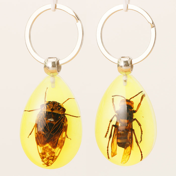 Wholesale Resin Real Insect Specimen Luminous Keychain MOQ≥3 JDC-IS-DongB003