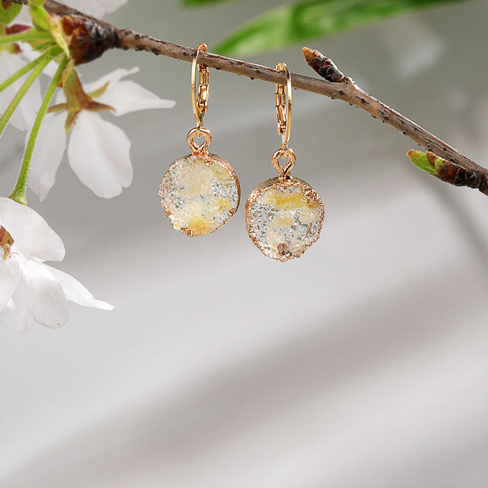 Wholesale Imitation Mineral Resin Alloy Gradient Earrings MOQ≥2 JDC-ES-Zhongn015