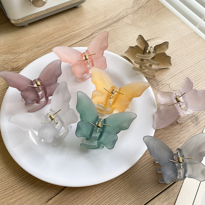 Wholesale Translucent Butterfly Grab Clip Summer Frosted Matte JDC-HC-YuTing003