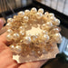 Jewelry WholesaleWholesale pearl sweet sen tie head rope girl JDC-HS-DouY010 Hair Scrunchies 豆毓 %variant_option1% %variant_option2% %variant_option3%  Factory Price JoyasDeChina Joyas De China