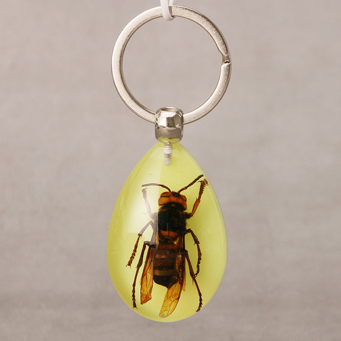 Wholesale Resin Real Insect Specimen Luminous Keychain MOQ≥3 JDC-IS-DongB003