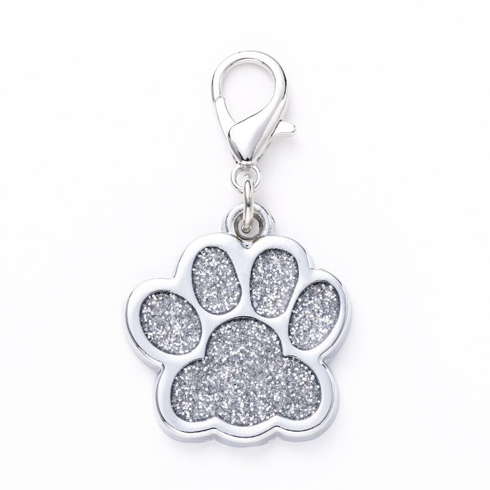 Wholesale Keychains For Backpacks Zinc Alloy Metal Pet Footprint Keychain JDC-KC-XYP001