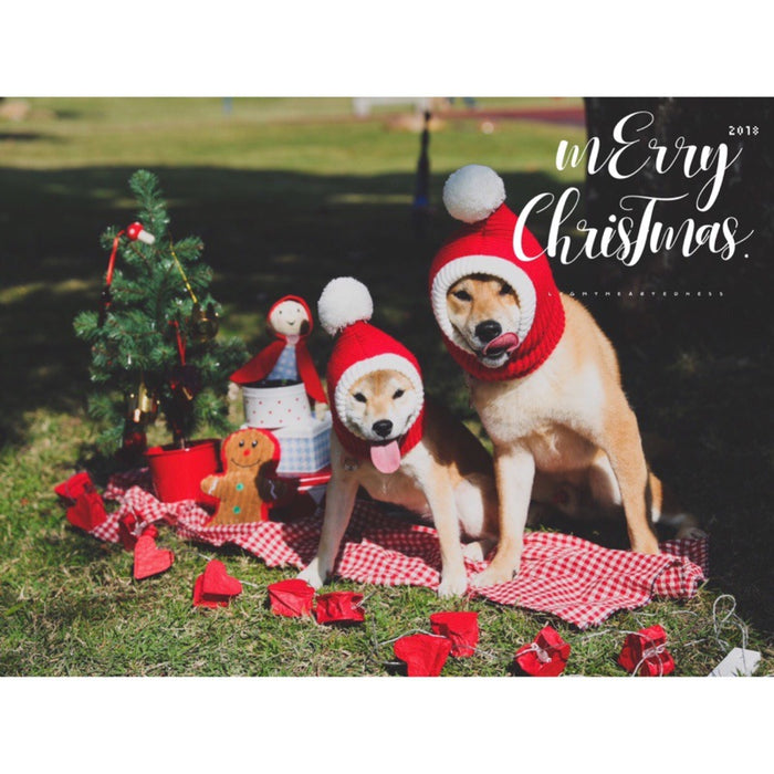 Wholesale Pet Dog Santa Hat Red Beanie JDC-PC-Tengy002