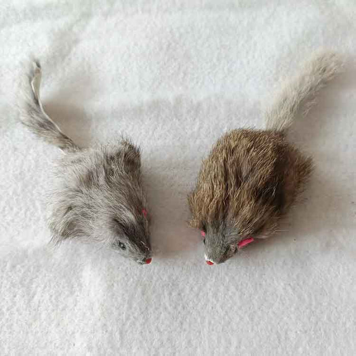 Wholesale Random Pet Toys 3.5 Inch Simulation Mouse Cat Toys JDC-PT-ChenL002