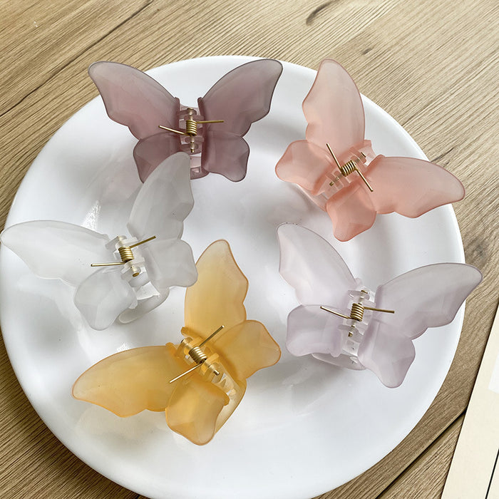 Wholesale Translucent Butterfly Grab Clip Summer Frosted Matte JDC-HC-YuTing003