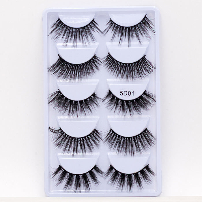 Wholesale Imitation Mink Hair 5D Natural Thick False Eyelashes 5 Pairs Pack JDC-EY-MYan003