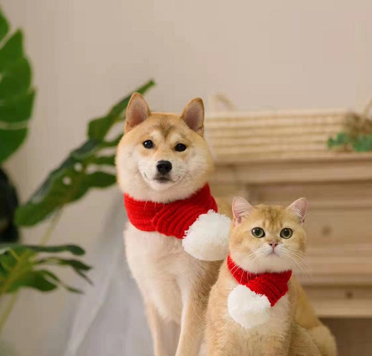 Wholesale Pet Cats And Dogs Christmas Scarf JDC-PC-Tengy001