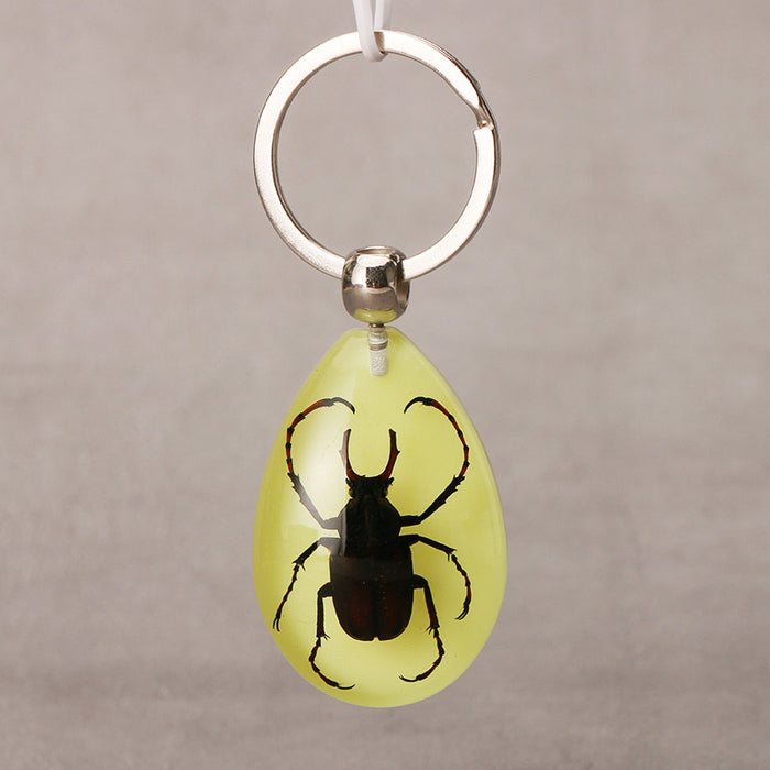 Wholesale Resin Real Insect Specimen Luminous Keychain MOQ≥3 JDC-IS-DongB003