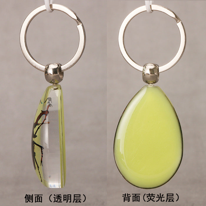 Wholesale Resin Real Insect Specimen Luminous Keychain MOQ≥3 JDC-IS-DongB003