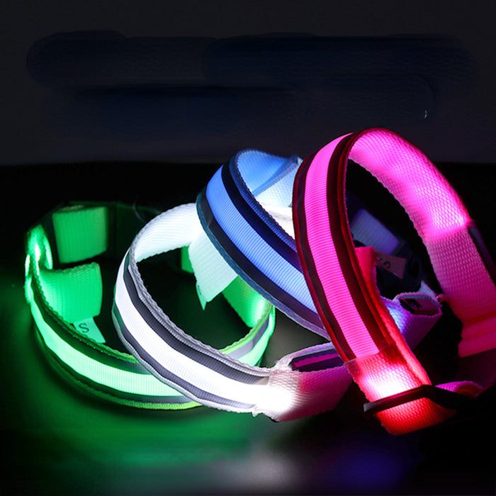 Wholesale Nylon Webbing LED Light Up Dog Collar JDC-FT-XuanD003