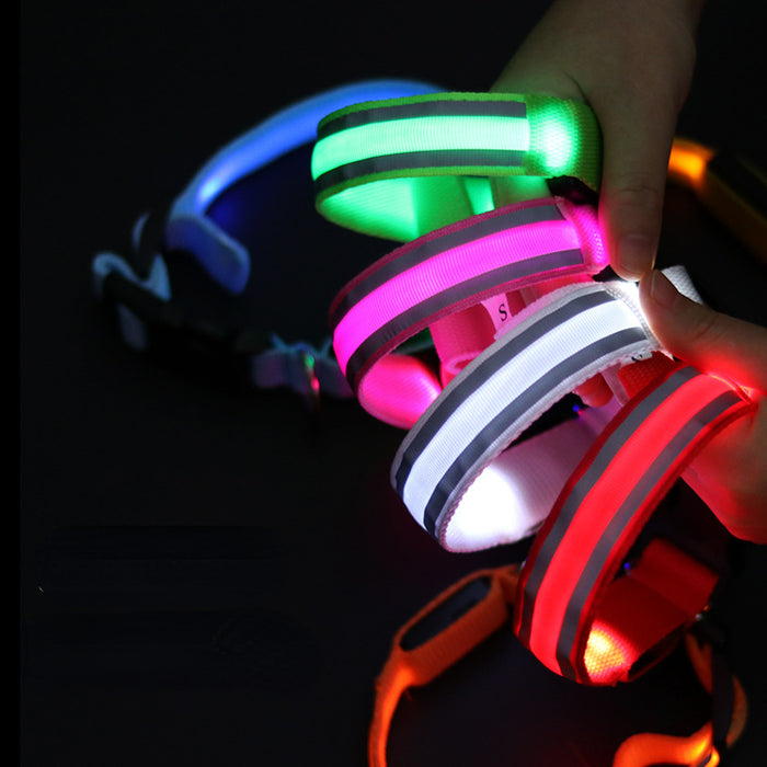 Wholesale Nylon Webbing LED Light Up Dog Collar JDC-FT-XuanD003