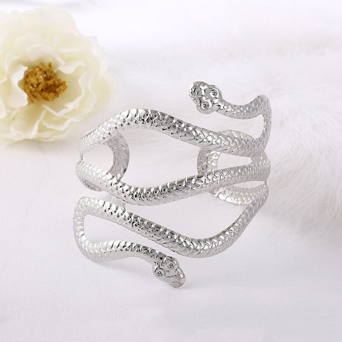 Wholesale alloy retro snake bracelet JDC-BT-DaiR017 Bracelet 黛仁 sliver Wholesale Jewelry JoyasDeChina Joyas De China