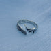 Wholesale Angel Wings Feather Vintage Wing Ring JDC-RS-NS003 Rings 尼森 Wholesale Jewelry JoyasDeChina Joyas De China