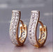 Wholesale electroplated metal earrings JDC-ES-WN003 Earrings 薇妮 Wholesale Jewelry JoyasDeChina Joyas De China