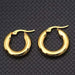 Wholesale Gold Color Zinc Alloy Earrings JDC-ES-WN023 Earrings 薇妮 Wholesale Jewelry JoyasDeChina Joyas De China