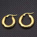Wholesale Gold Color Zinc Alloy Earrings JDC-ES-WN023 Earrings 薇妮 Wholesale Jewelry JoyasDeChina Joyas De China