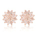 Wholesale green zircon earrings JDC-ES-Mix013 Earrings 迷茜 Rose Gold Wholesale Jewelry JoyasDeChina Joyas De China