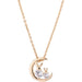 Wholesale Moon Rabbit Zircon Copper Necklace JDC-NE-JMR001 Necklaces 婕美人 Wholesale Jewelry JoyasDeChina Joyas De China