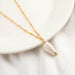 Wholesale natural shell green necklace JDC-NE-KJ209 Necklaces 坤杰 N010825 Wholesale Jewelry JoyasDeChina Joyas De China