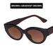 Wholesale PC Hip Hop Sunglasses JDC-SG-KD111 Sunglasses 珂盾 2 1 Wholesale Jewelry JoyasDeChina Joyas De China