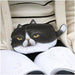 Wholesale polyester cat coin purse JDC-WT-Donglej006 Wallet 东津 Wholesale Jewelry JoyasDeChina Joyas De China