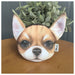 Wholesale polyester dog head coin purse JDC-WT-Donglej008 Wallet 东津 1 Wholesale Jewelry JoyasDeChina Joyas De China