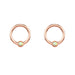 Wholesale Stainless Steel Nose Ring puncture JDC-NS-WH003 Piercings 威怀 roes gold Wholesale Jewelry JoyasDeChina Joyas De China