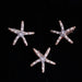 Wholesale starfish diamond hairpins JDC-HC-JE003 Hair Clips 璟恩 Wholesale Jewelry JoyasDeChina Joyas De China
