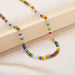 Wholesale transparent colored rice BEADS BEADED neck chain necklace JDC-NE-YinH001 necklaces 颖皓 #1 Wholesale Jewelry JoyasDeChina Joyas De China