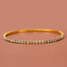 Wholesale white rhinestone anklet JDC-AS-Bis005 Anklet 碧莎 White diamond row-gold Wholesale Jewelry JoyasDeChina Joyas De China