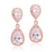 Wholesale Zircon S925 Silver Pin Plating Copper Earrings JDC-ES-Mix004 Earrings 迷茜 rose gold Wholesale Jewelry JoyasDeChina Joyas De China